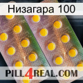 Низагара 100 new10